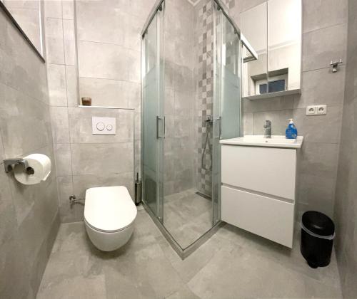 ein Bad mit einer Dusche, einem WC und einem Waschbecken in der Unterkunft Gepflegtes und schönes Ferienapartment im Neubau in Travemünde