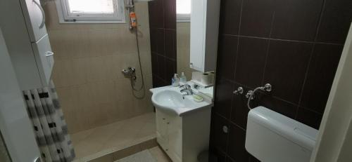 ウジツェにあるStan na dan Predahのバスルーム(洗面台、トイレ、シャワー付)