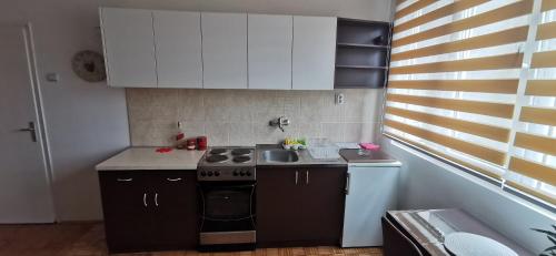 una piccola cucina con piano cottura e lavandino di Stan na dan Predah a Užice