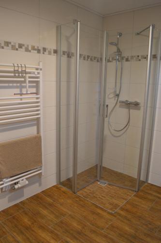 a bathroom with a shower with a glass door at Aniger in Wustrow