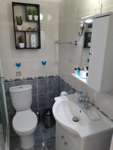 a bathroom with a toilet and a sink at House Near The Beach (Militsa & Aggeliki) in Pervolia