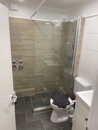 W łazience znajduje się prysznic, toaleta i umywalka. w obiekcie Haus am Sonnenberg,Todtnauberg, Ferienwohnung 002, direkt am Skilift-Skipiste, Nähe Feldberg w mieście Todtnauberg