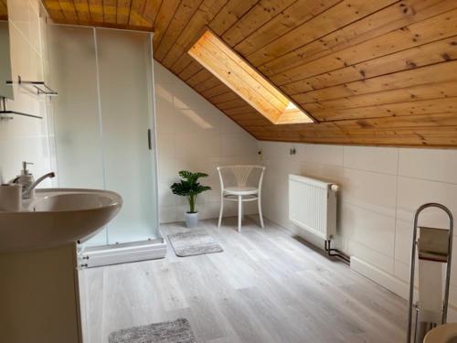 イェセニークにあるPenzion Jeseníkのバスルーム(シンク付)が備わる天井の客室です。