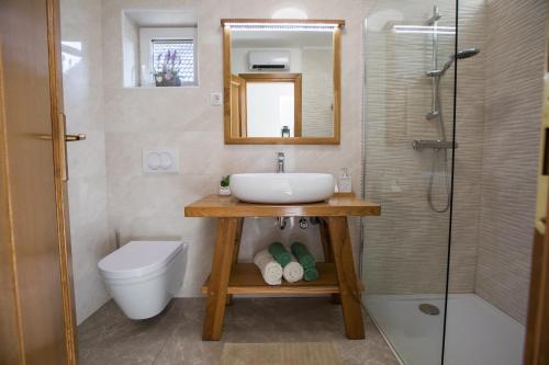 a bathroom with a sink and a toilet and a shower at Vila Kosjenka on lake Sabljaci in Ogulin