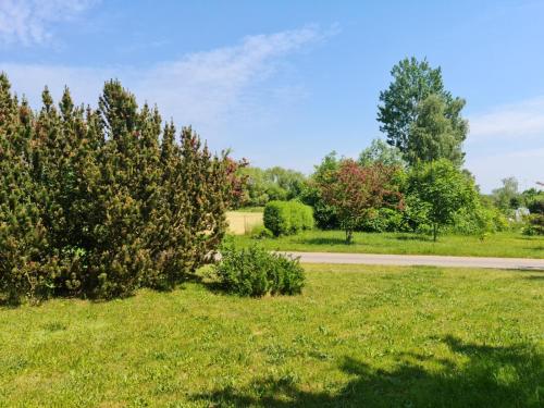 Gallery image of Hotel Restaurant Am Worns Berg in Broock