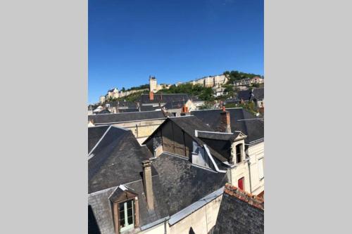 una vista de los tejados de los edificios con una colina en el fondo en Nouveau L'escapade Chinonaise, en Chinon