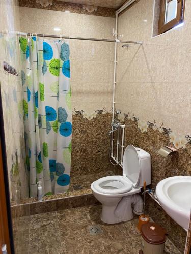 ein Bad mit einem WC und einem Duschvorhang in der Unterkunft Aghasu Tun B&B in Odzun