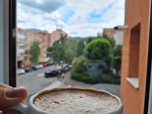 a person holding a cup of coffee looking out of a window at Smart Apartament in Braşov
