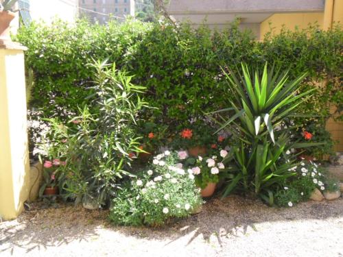 a garden with flowers and plants in front of a building at Appartamenti Claudia Rio in Rio Marina