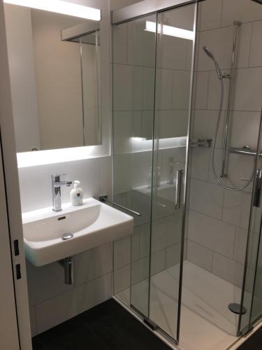 y baño con lavabo y ducha. en Ferienwohnung Schaffhausen 1989 - Neubau, Free Parking, en Schaffhausen