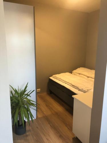 1 dormitorio con 1 cama y una maceta en Sjønær Idyll, en Kristiansand