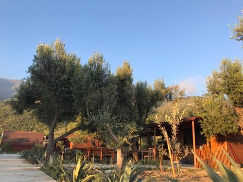 a house with trees in front of it at Violet Village in Borsh