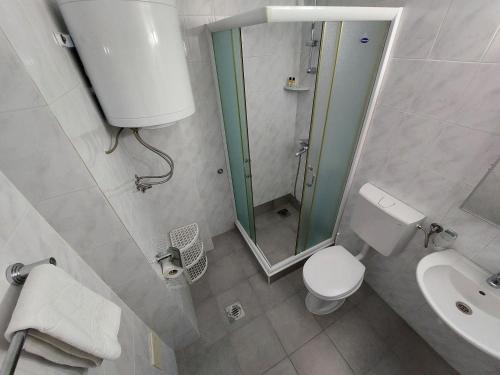 a bathroom with a toilet and a sink and a mirror at Apartmani Dalex in Budva