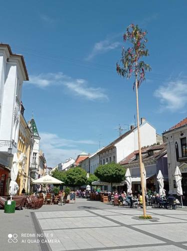 a town square with tables and chairs and a tree at Apartman Trajan in Piešťany