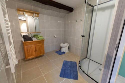 a bathroom with a shower and a toilet and a sink at Loft bourguignon au pied des sources de la Seine in Chanceaux