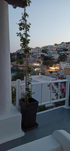 a plant in a pot sitting on a balcony at Bella Vista in Panteli