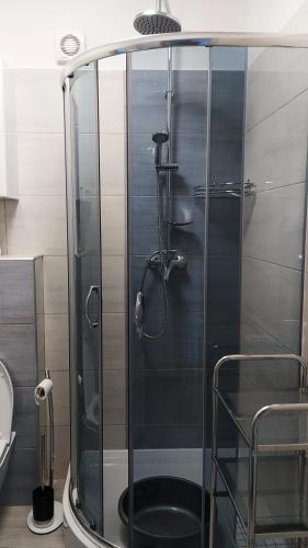 a shower with a glass door in a bathroom at Apartamenty Przemko in Rewal