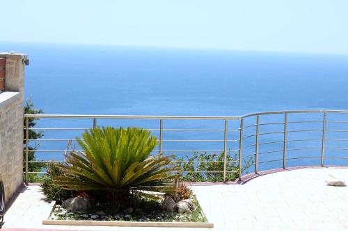 a balcony with some plants and the ocean in the background at Maistros Villa in Rodakino