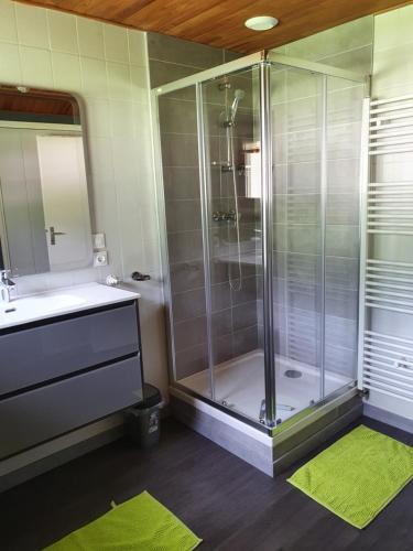 ein Bad mit einer Dusche, einem Waschbecken und einem WC in der Unterkunft Chez Gilles et Eveline in Cruet