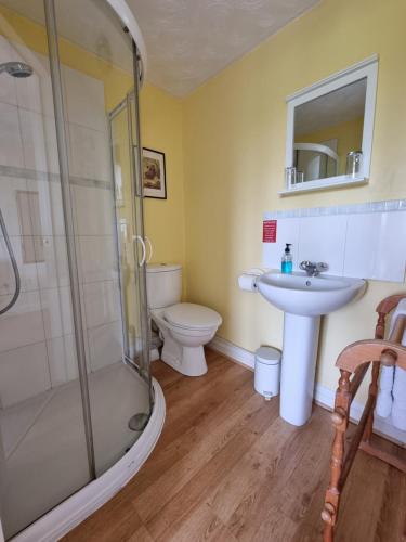 a bathroom with a shower and a toilet and a sink at Burnt House Farm in Highbridge