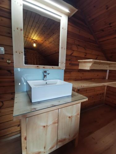 a bathroom with a sink and a mirror at Almhütte Kristabauer in Predlitz