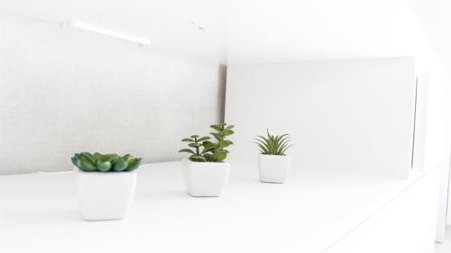 three plants on a white shelf in a room at Centrum Apartement in Valga