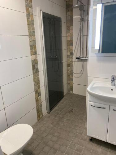 a bathroom with a shower and a toilet and a sink at Wallinkoski accommodation - Rooms and Tentsile tent options next to River Vuoksi in Imatra