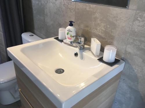 Un lavabo de baño con una botella de jabón encima en Et c'est une autre histoire studio, en Léon