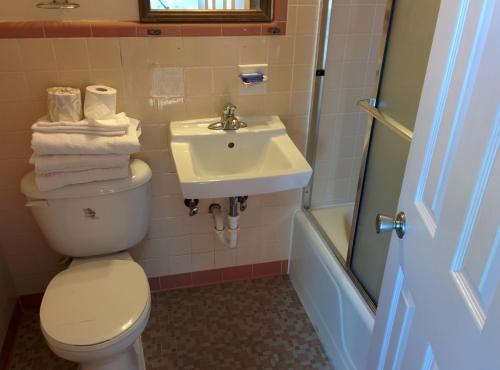 A bathroom at Wayfarer Motel