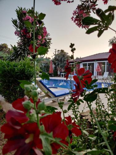 Πισίνα στο ή κοντά στο CC's Butik Hotel