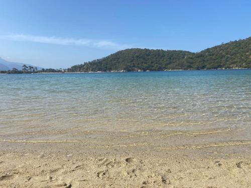 Φυσικό τοπίο κοντά σε αυτός ο ξενώνας