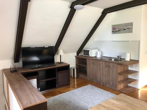 a living room with a television and a sink at Echo Apartman in Tihany