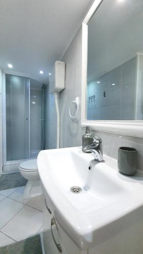 a bathroom with a sink and a mirror and a toilet at Studio Tony in Dubrovnik