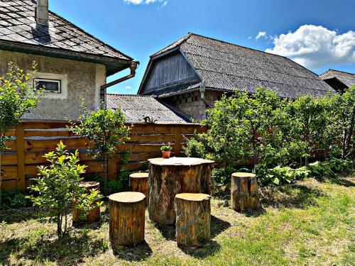 un gruppo di sgabelli per tronchi di albero di fronte a una casa di La Curtea Veche a Lăpuş