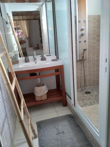 a bathroom with a sink and a shower with a mirror at Villa mimosa in La Rivière