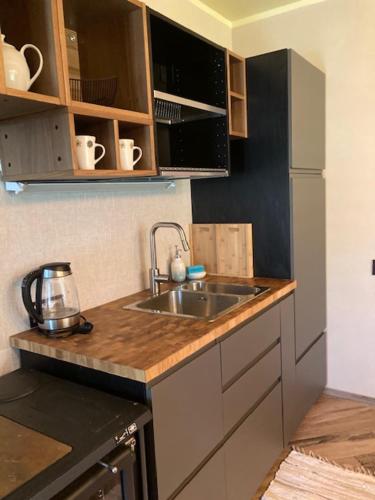 a kitchen with a sink and a refrigerator at Vējavas in Svettsiyems