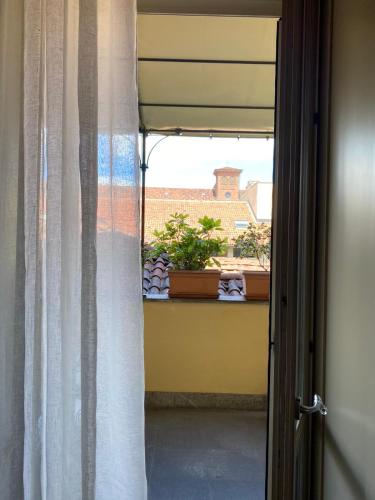 Julius suite photo 34