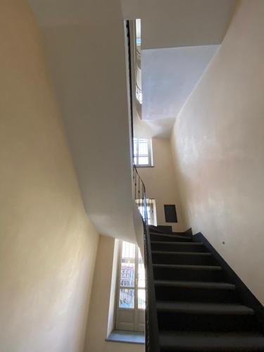 Julius suite photo 47