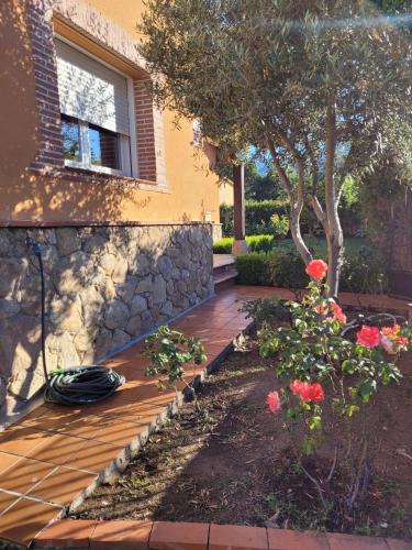 a garden with a wooden bench and a tree at Casa de campo Aires de Gredos in Candeleda