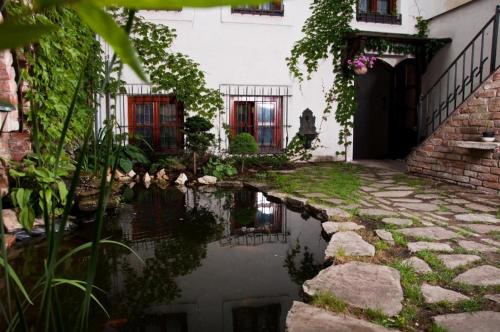 a garden with a pond in front of a building at New Fajka in Mikulov