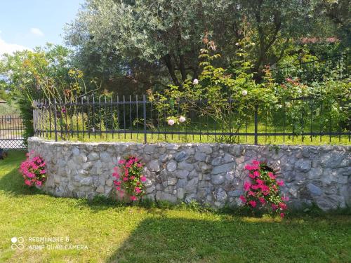 Mary Rose Apartments – Photos 3