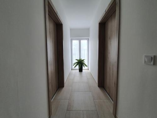 a hallway with a potted plant in the middle at Harmónia Panzió in Bogács