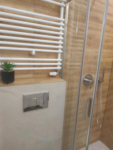 a shower in a bathroom with a glass door at Perła Apartament Mińsk in Mińsk Mazowiecki