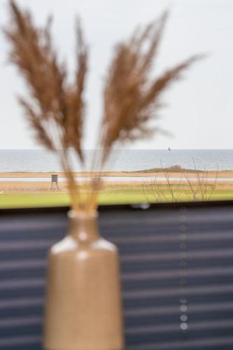 Gambar di galeri bagi FerienDüne "Riedensee" di Kühlungsborn