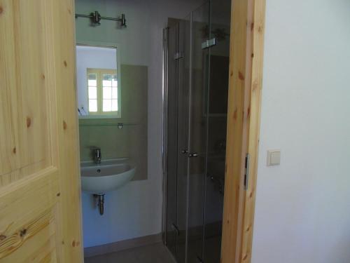 een badkamer met een glazen douche en een wastafel bij Schmiede der Wasserburg Liepen in Gielow