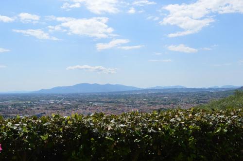 a view of a city from a hill with flowers at Il Podere di Tacito in Pieve a Nievole