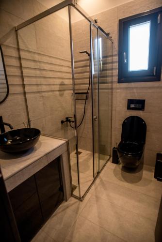 a bathroom with a toilet and a glass shower at Paraiso Azul Villas in Áyios Dhimítrios