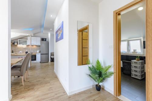Gallery image of Apartment Darka 1 in Sumartin