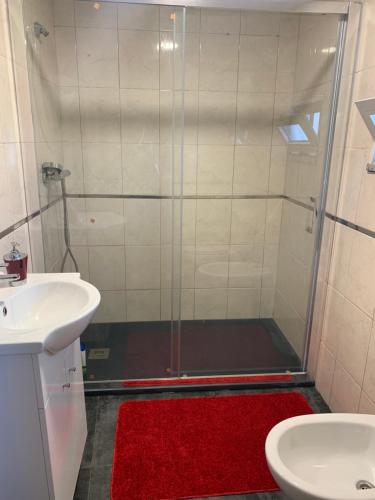 a bathroom with a shower with a sink and a red rug at Casa da Ruela no Rodo in Peso da Régua