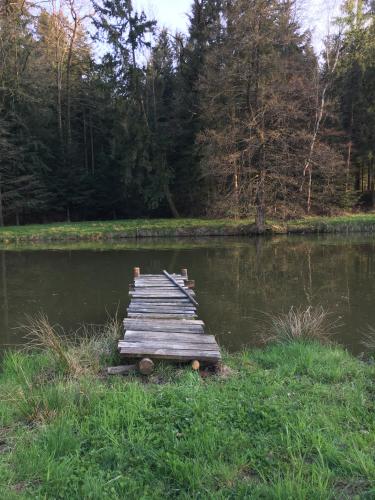 a wooden dock in the middle of a lake at Kellerstöckl am veganen Bio-Lebenshof "Varm - die vegane Farm" in Bergla
